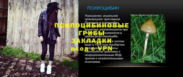 винт Армянск