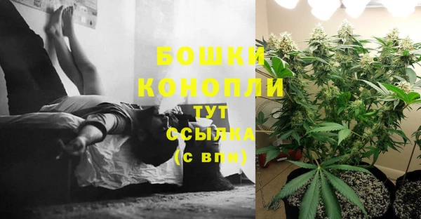 каннабис Арсеньев