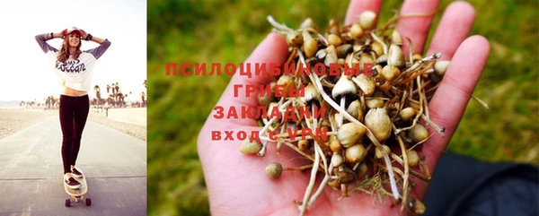 каннабис Арсеньев