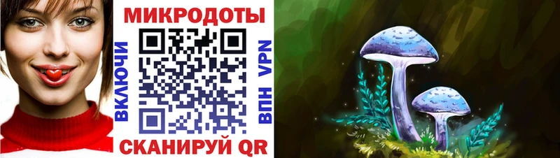цены наркотик Судак Галлюциногенные грибы Psilocybine cubensis
